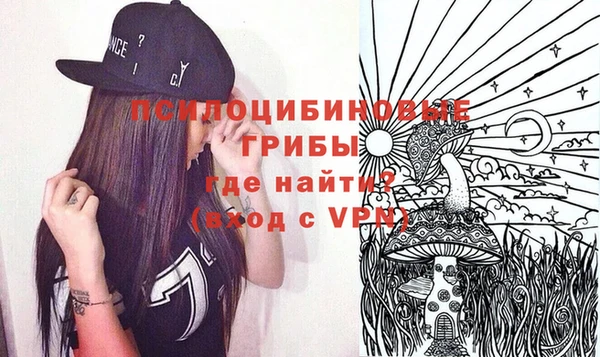 гидра Алексеевка