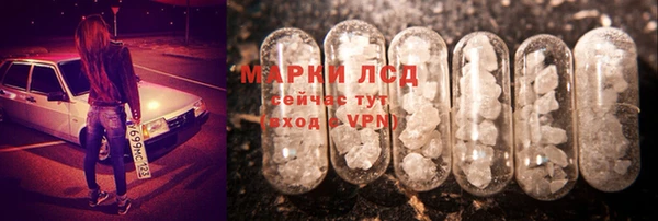гидра Алексеевка